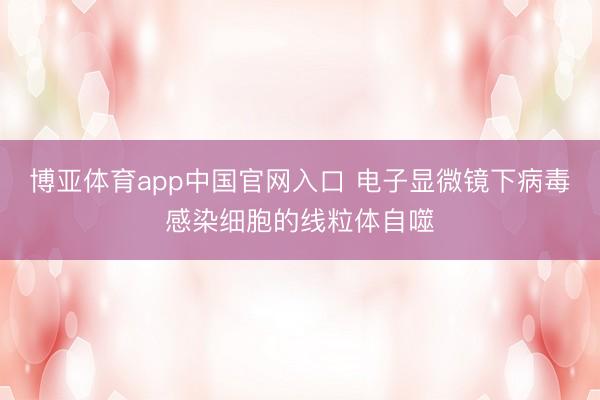博亚体育app中国官网入口 电子显微镜下病毒感染细胞的线粒体自噬