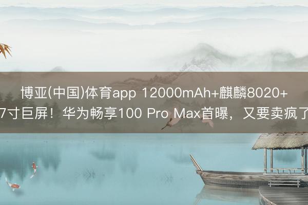 博亚(中国)体育app 12000mAh+麒麟8020+7寸巨屏！华为畅享100 Pro Max首曝，又要卖疯了