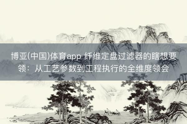 博亚(中国)体育app 纤维定盘过滤器的瞎想要领：从工艺参数到工程执行的全维度领会
