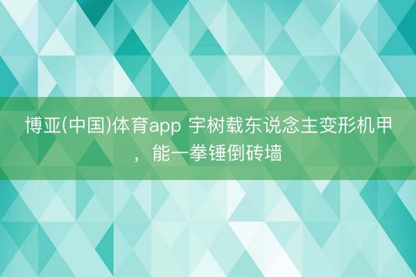 博亚(中国)体育app 宇树载东说念主变形机甲，能一拳锤倒砖墙