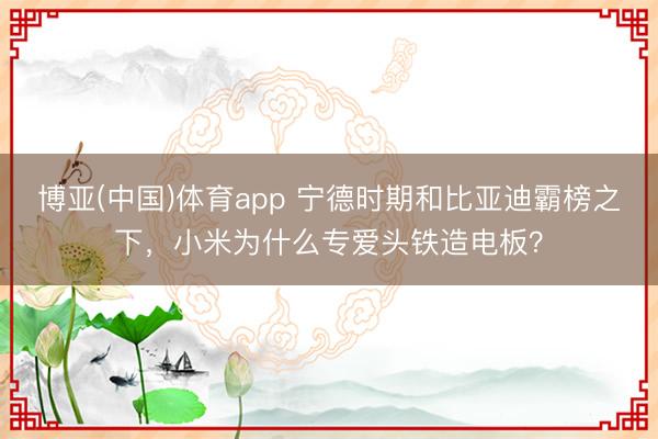 博亚(中国)体育app 宁德时期和比亚迪霸榜之下，小米为什么专爱头铁造电板？