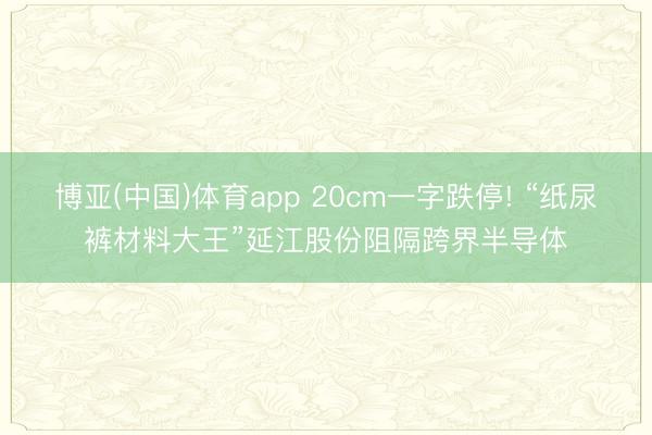 博亚(中国)体育app 20cm一字跌停! “纸尿裤材料大王”延江股份阻隔跨界半导体