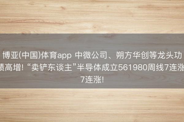 博亚(中国)体育app 中微公司、朔方华创等龙头功绩高增! “卖铲东谈主”半导体成立561980周线7连涨!