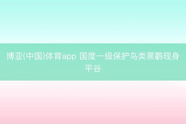 博亚(中国)体育app 国度一级保护鸟类黑鹳现身平谷