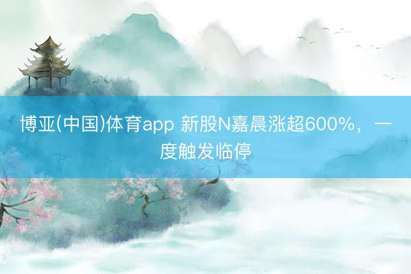 博亚(中国)体育app 新股N嘉晨涨超600%,一度触发临停