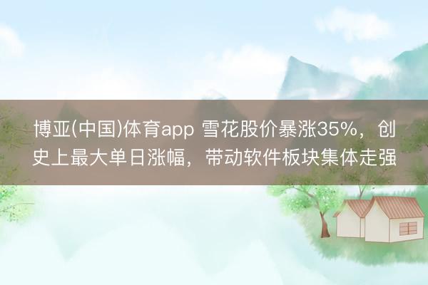 博亚(中国)体育app 雪花股价暴涨35%，创史上最大单日涨
