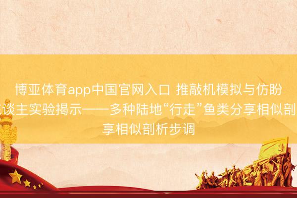 博亚体育app中国官网入口 推敲机模拟与仿盼愿器东谈主实验揭示——多种陆地“行走”鱼类分享相似剖析步调