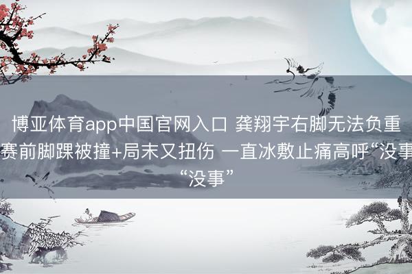 博亚体育app中国官网入口 龚翔宇右脚无法负重! 赛前脚踝被撞+局末又扭伤 一直冰敷止痛高呼“没事”