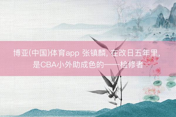博亚(中国)体育app 张镇麟, 在改日五年里, 是CBA小外助成色的——检修者