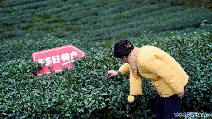 拼多多