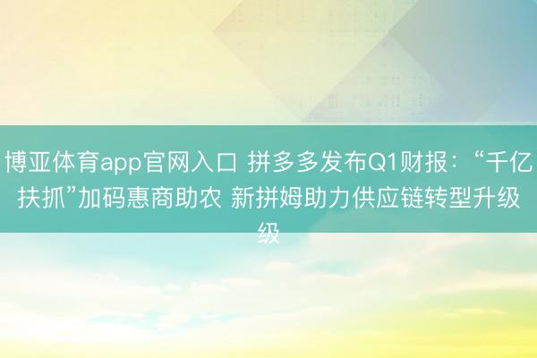 博亚体育app官网入口 拼多多发布Q1财报：“千亿扶抓”加码惠商助农 新拼姆助力供应链转型升级