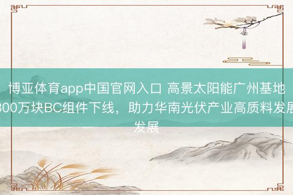 博亚体育app中国官网入口 高景太阳能广州基地300万块BC组件下线，助力华南光伏产业高质料发展