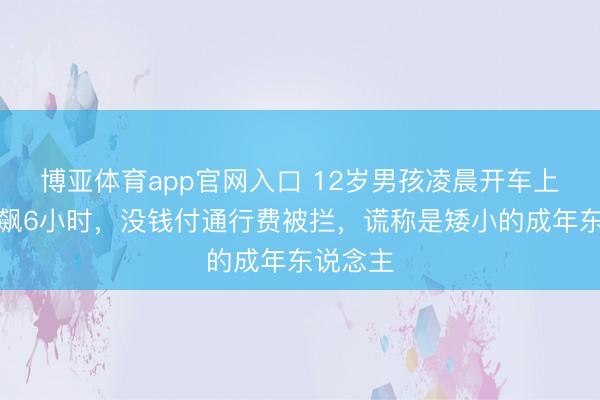 博亚体育app官网入口 12岁男孩凌晨开车上高速狂飙6小时，没钱付通行费被拦，谎称是矮小的成年东说念主